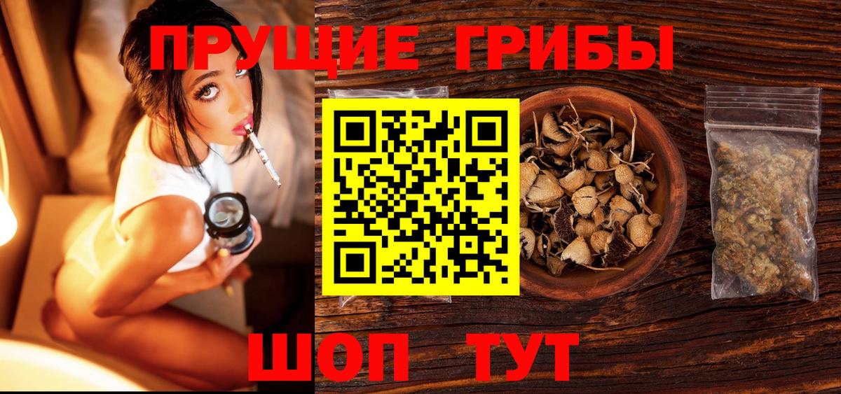 Дзержинск  Псилоцибиновые грибы Cubensis  Вход с VPN 