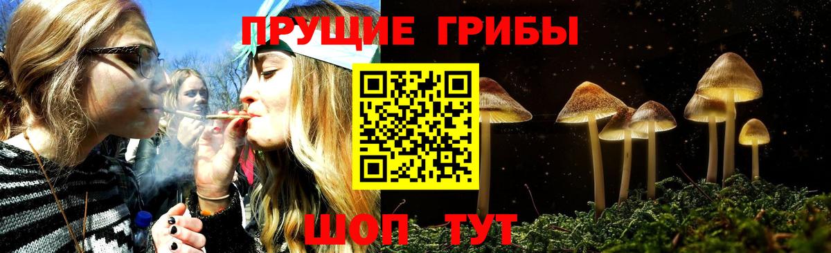 Галлюциногенные грибы Magic Shrooms Дзержинск